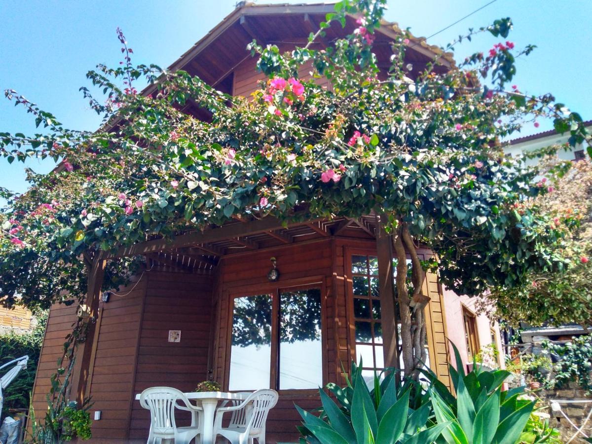 Casa Na Ilha Da Magia Villa Florianópolis Buitenkant foto