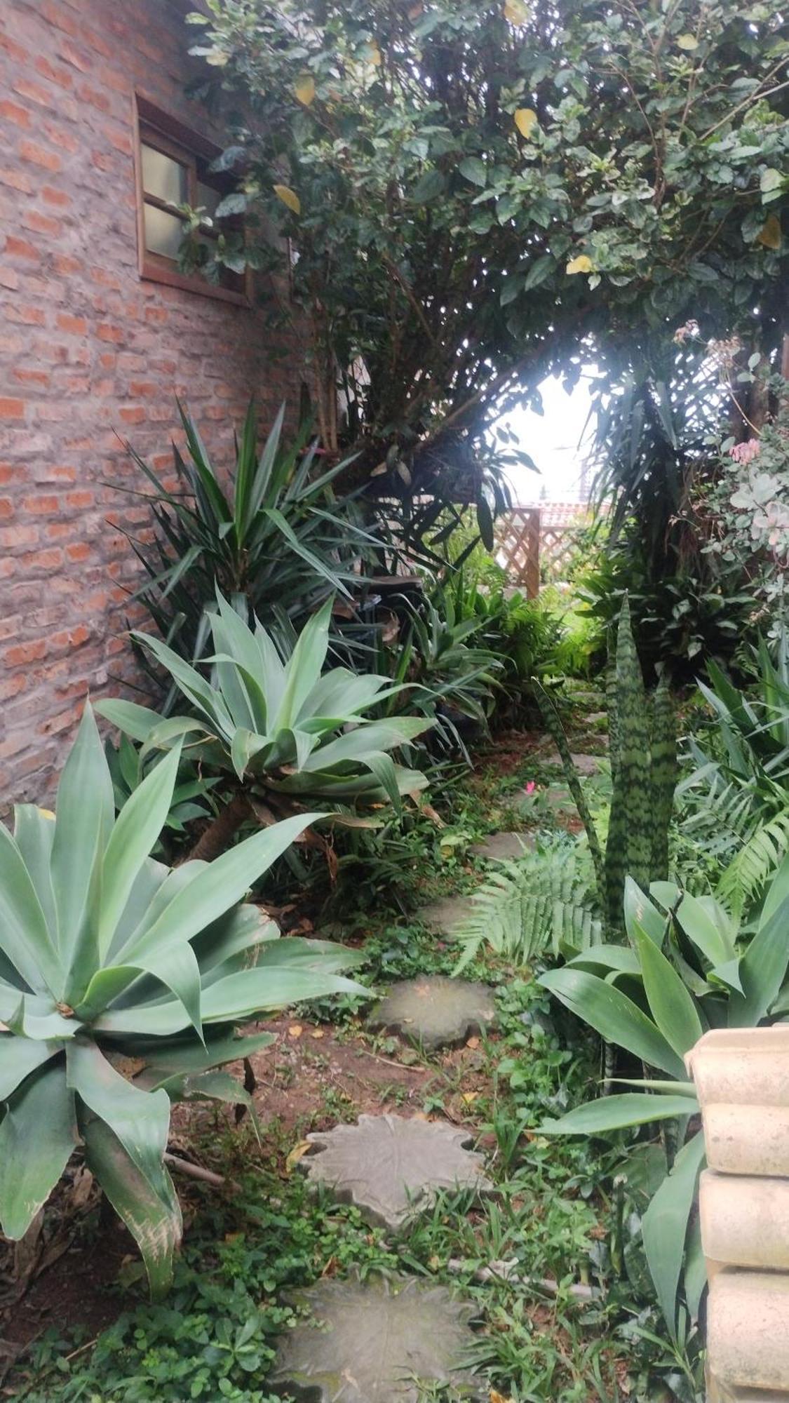 Casa Na Ilha Da Magia Villa Florianópolis Buitenkant foto