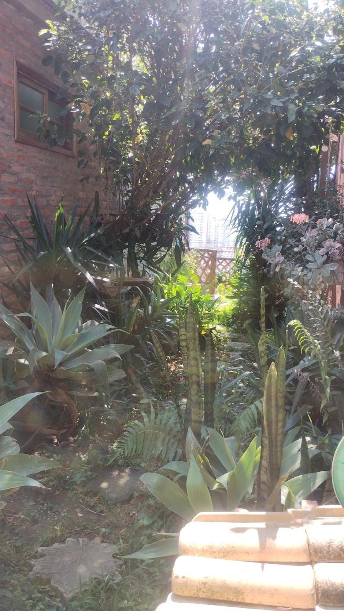 Casa Na Ilha Da Magia Villa Florianópolis Buitenkant foto