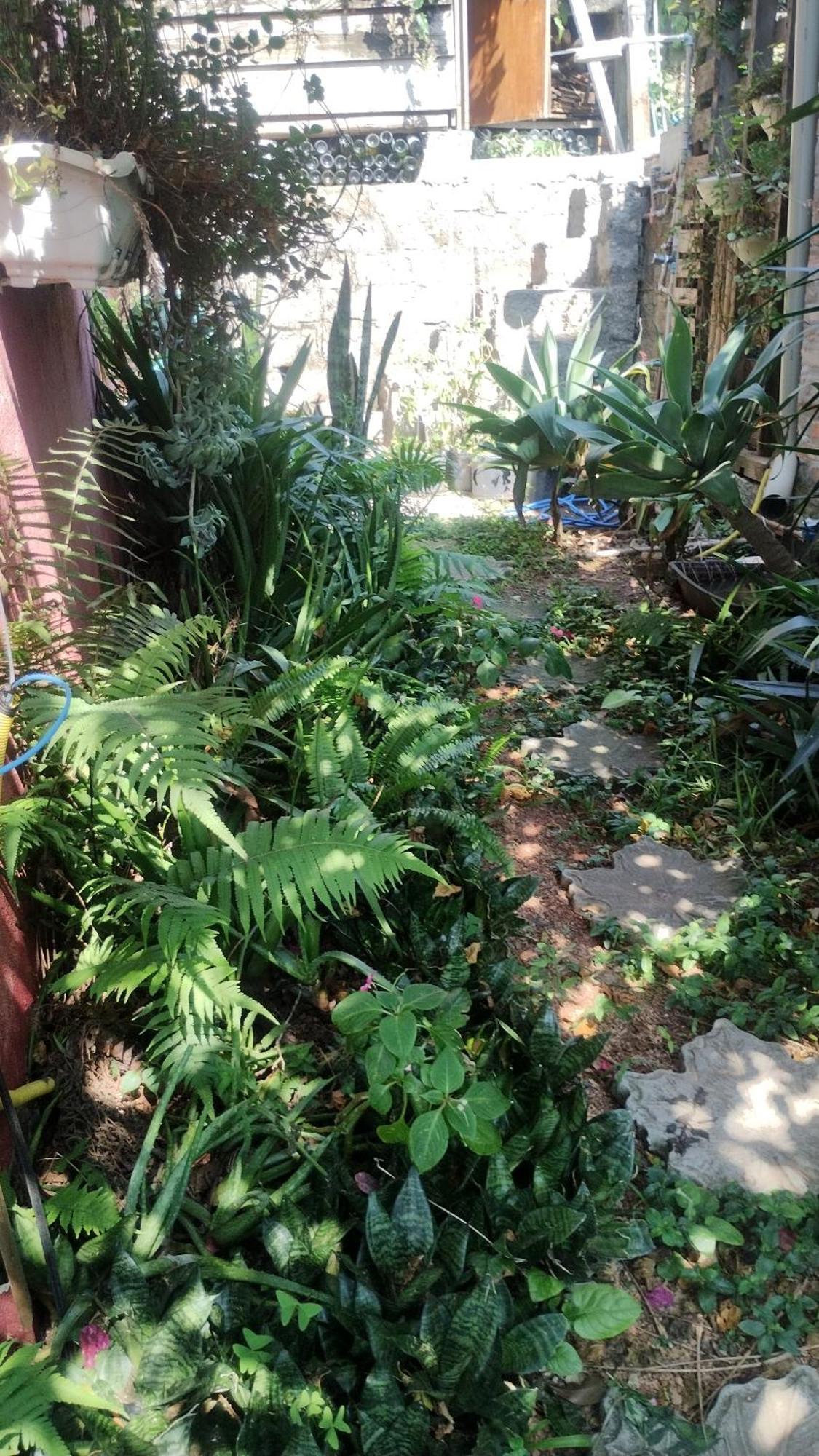 Casa Na Ilha Da Magia Villa Florianópolis Buitenkant foto